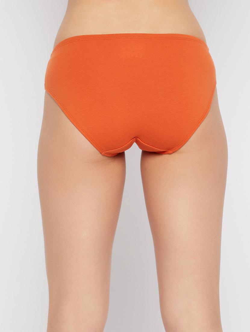 orange cotton bikini panty - 19638901 - Standard Image - 3
