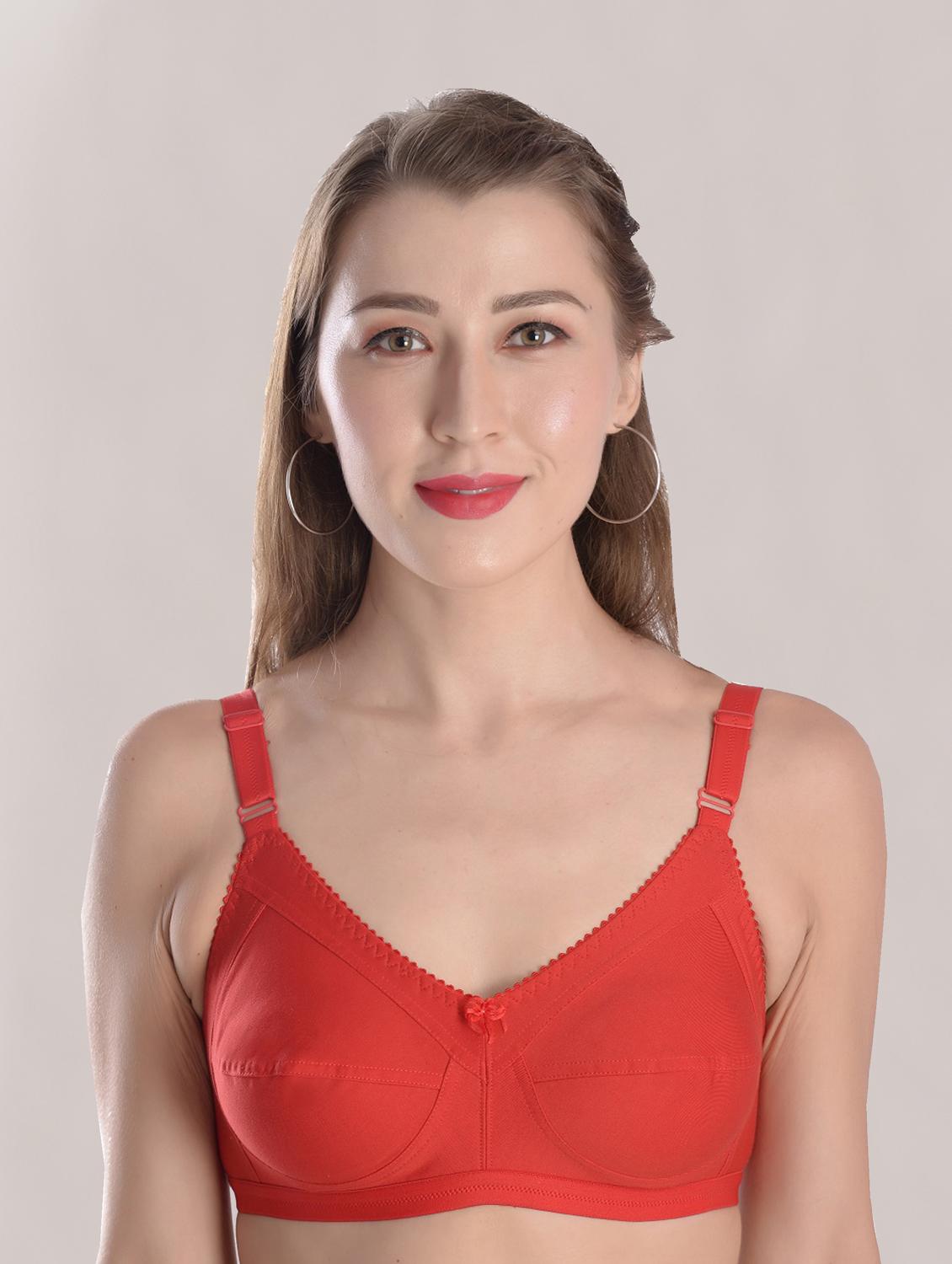 multi colored cotton tshirt bra - 19659566 - Standard Image - 3