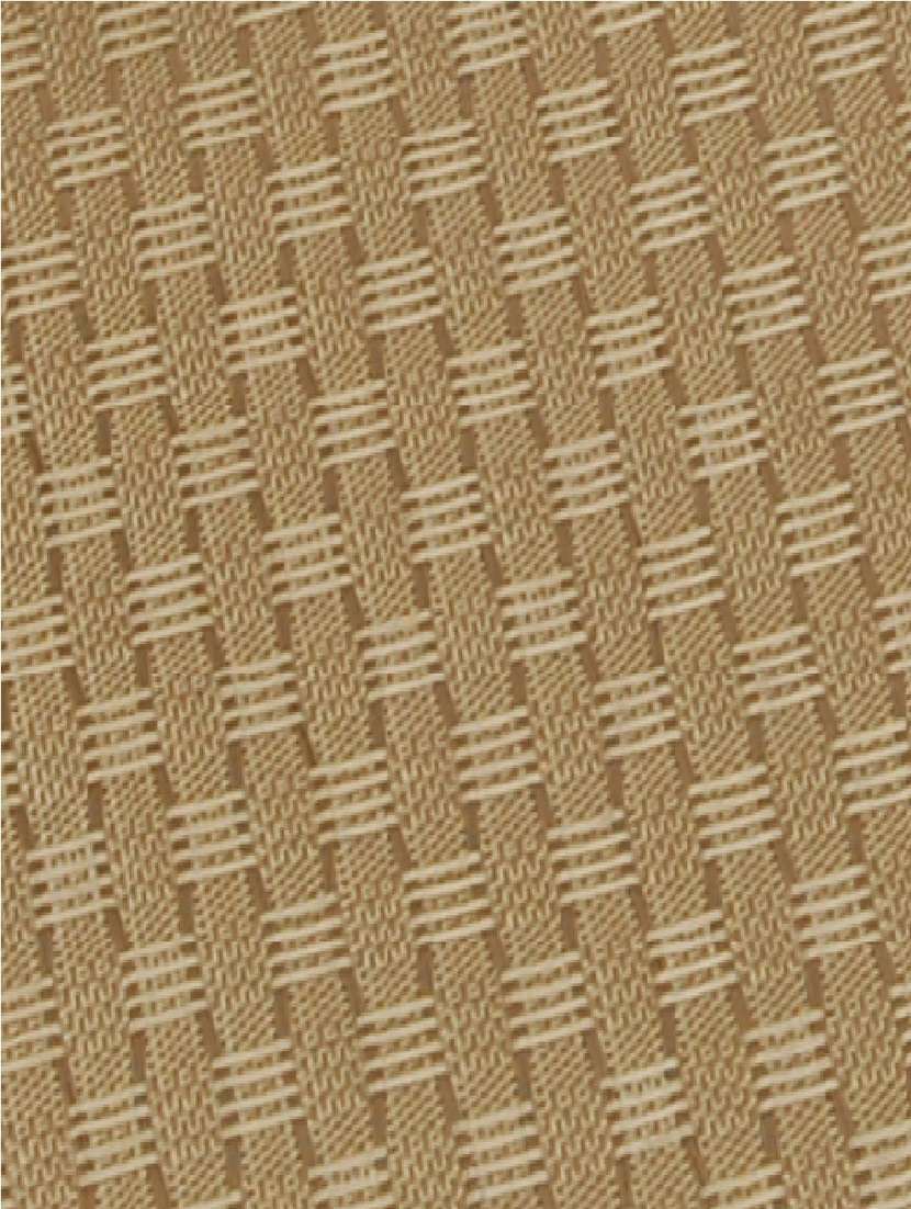 Winner Rectangular Table Placemat - 19695165 -  Standard Image - 3