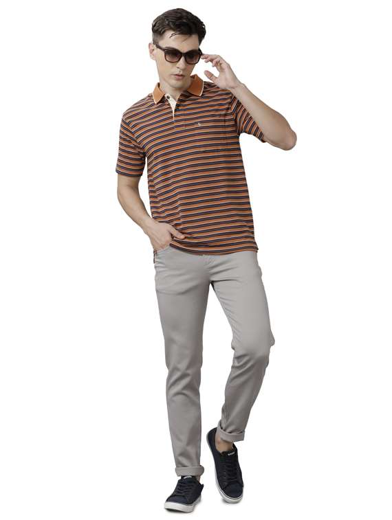 striped polo t-shirt - 19723204 -  Standard Image - 3