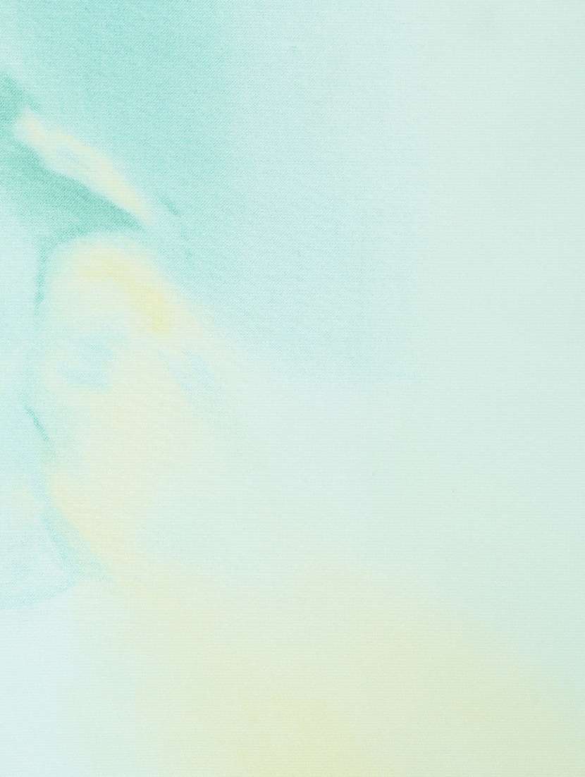 light bluel printed saree with blouse - 20008191 -  Standard Image - 3