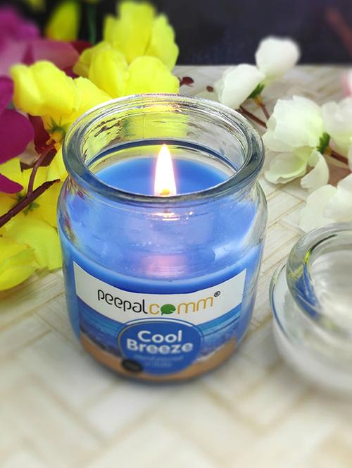 peepalcomm scented wax jar candles set - 20386398 -  Standard Image - 0