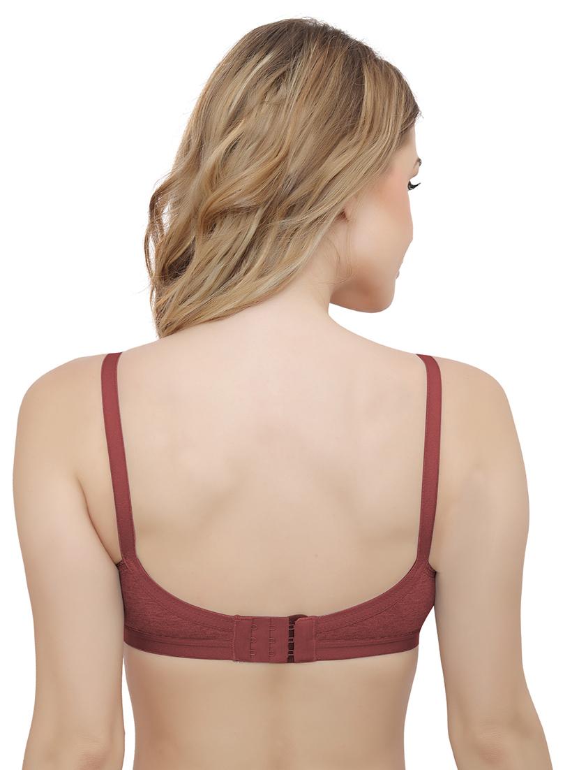 pack of 2 solid t-shirt bra - 20411229 - Standard Image - 3