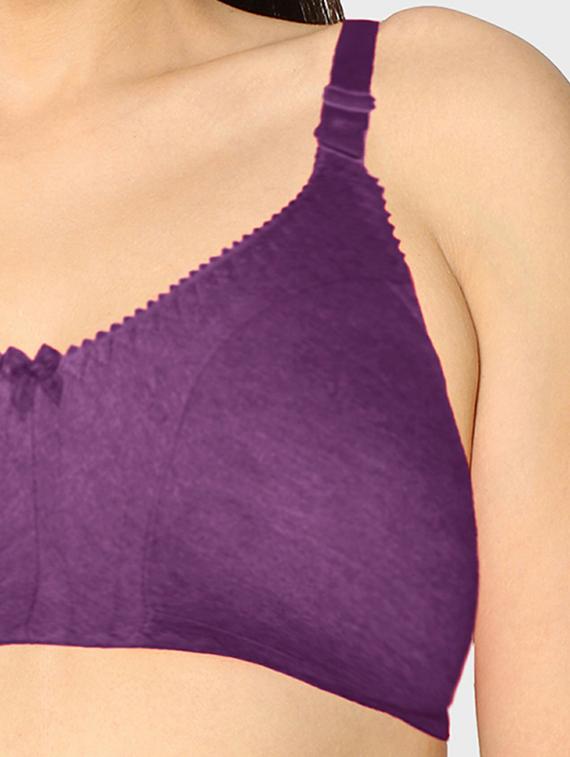 women pack of 2 solid t-shirt bra - 20429273 - Standard Image - 3