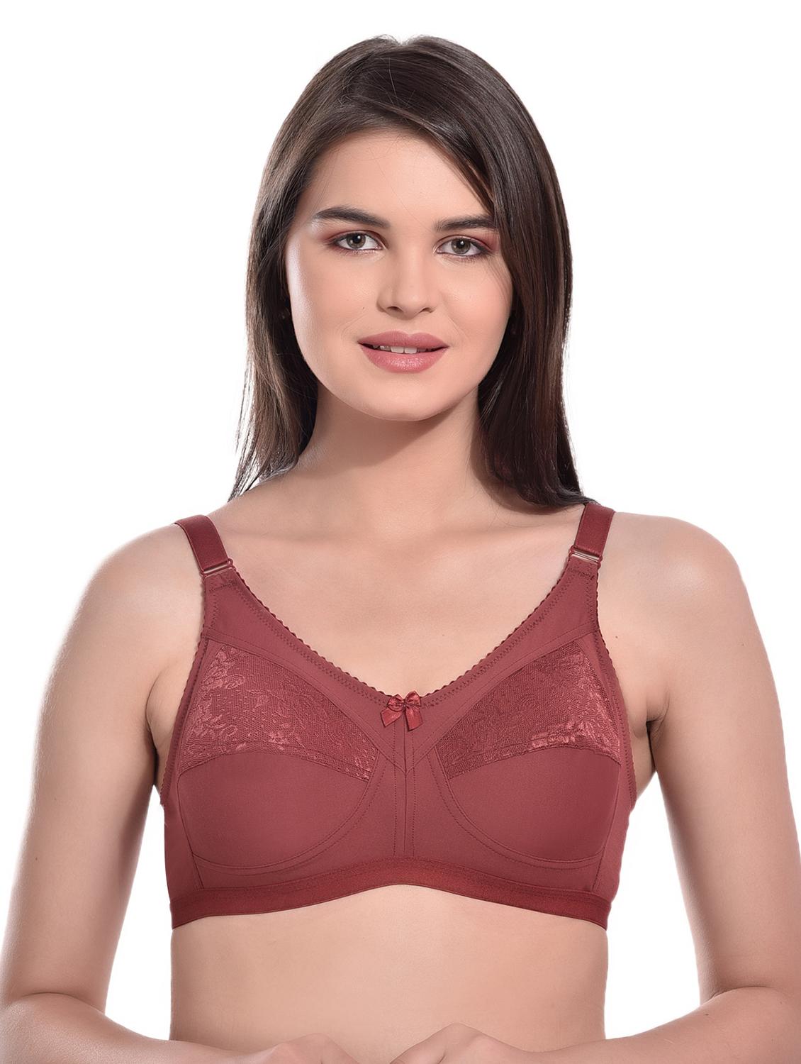 brown solid regular bra