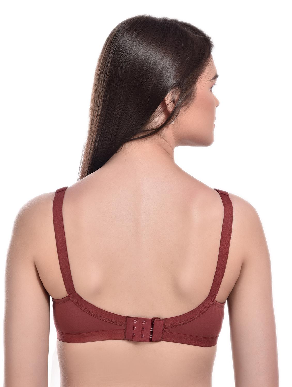 brown solid regular bra - 20435574 - Standard Image - 3