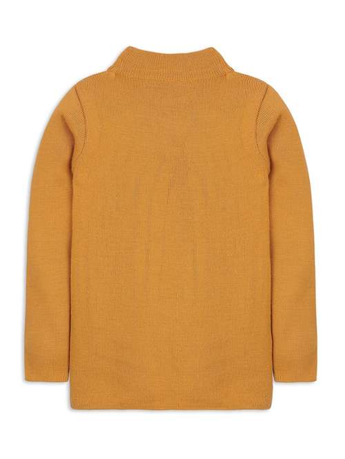 boys high neck solid sweater - 20436574 - Standard Image - 0