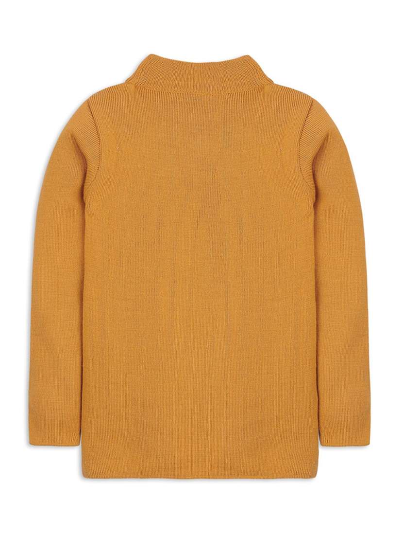 boys high neck solid sweater
