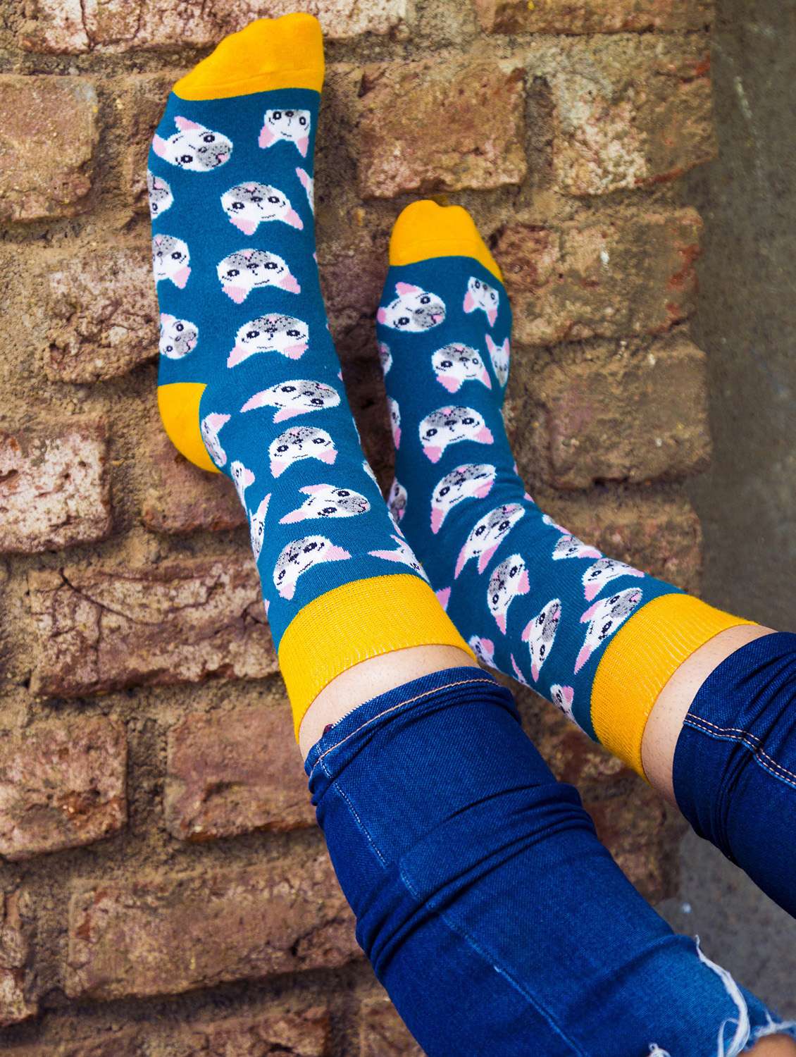 unisex multi colored above ankle length socks  - 20498098 -  Standard Image - 3