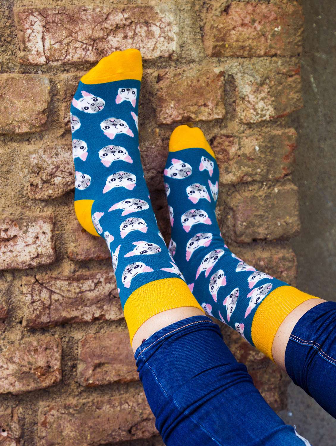 unisex multi colored above ankle length socks combo - 20498153 - Standard Image - 3