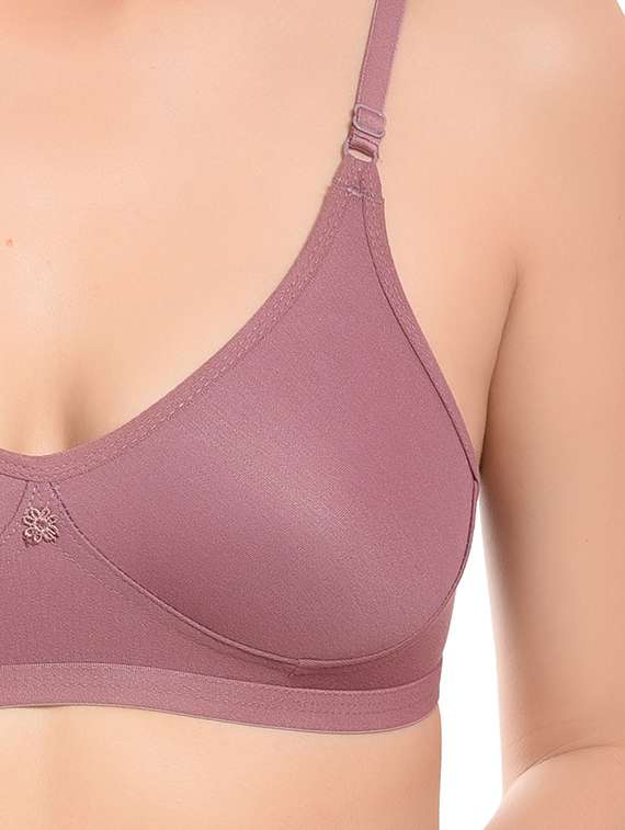 women pack of 3 solid t-shirt bra - 20551870 -  Standard Image - 5