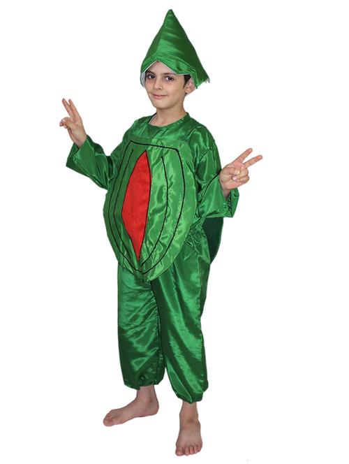 kids polyester fancy dress costume - 21048751 - Standard Image - 0
