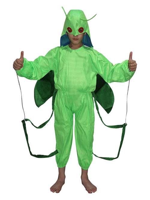green polyester costume - 21048842 -  Standard Image - 0