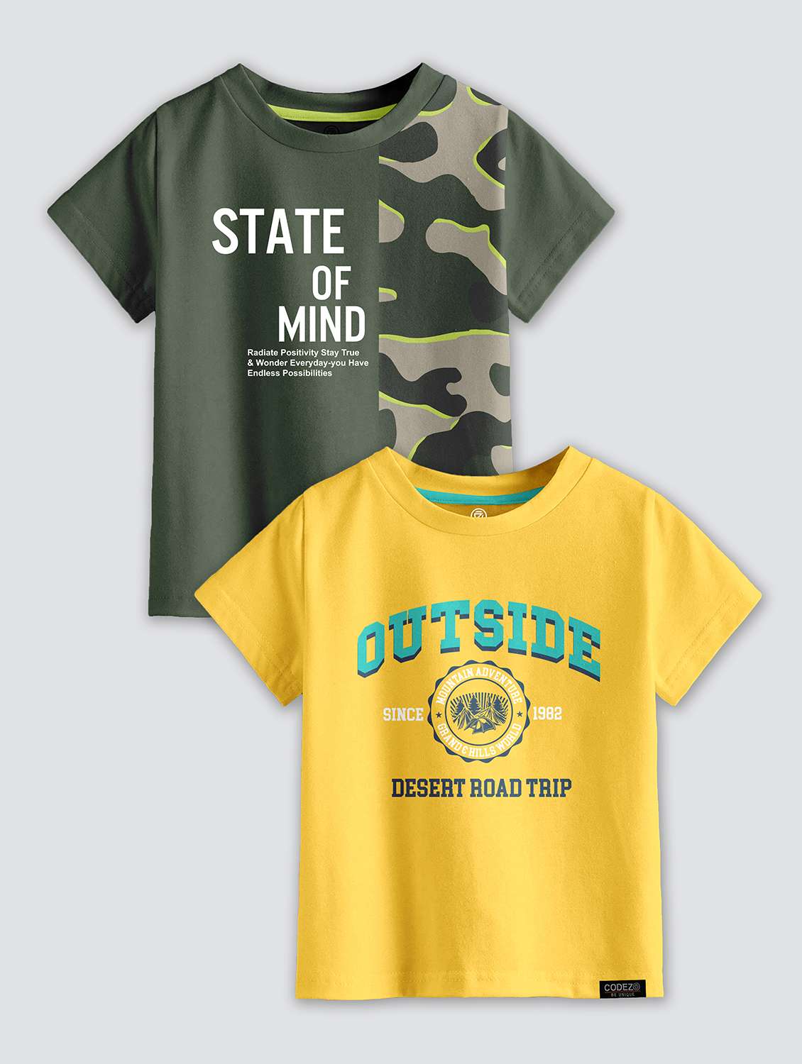 pack of 2 multi colored printed t-shirt