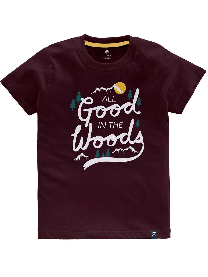 boys round neck printed set of 2 regular t-shirt - 21099380 -  Standard Image - 3
