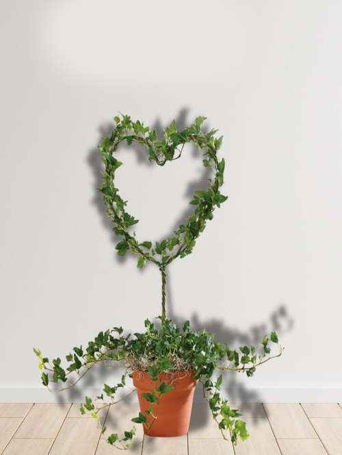 Garden Decor