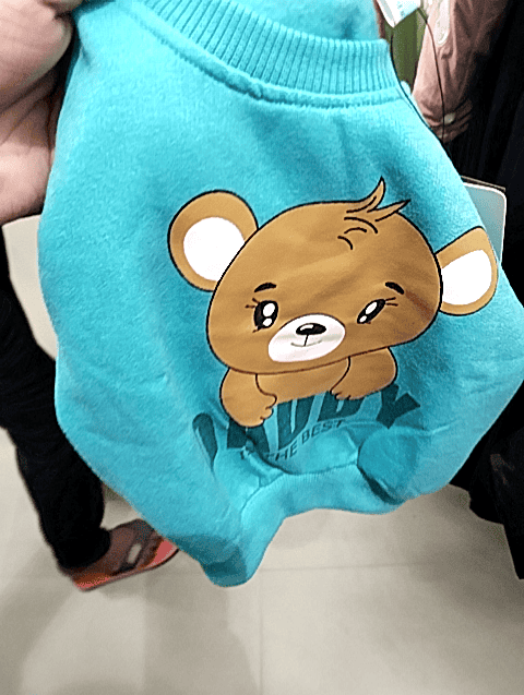 teal spun fleece sweatshirt - 21554755 - Zoom Image - 0
