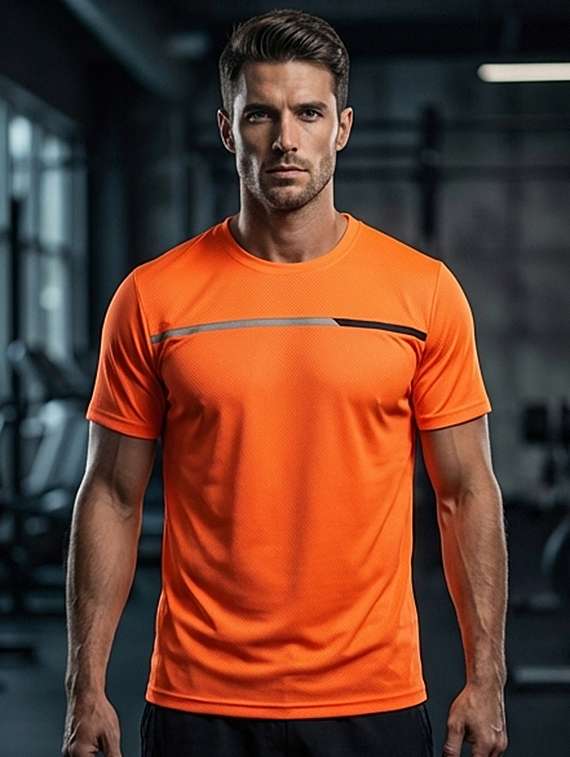 men striped short sleeve regular fit t-shirt