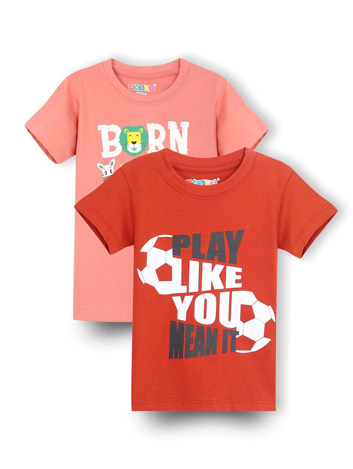 boys pack of 2 round neck t-shirt