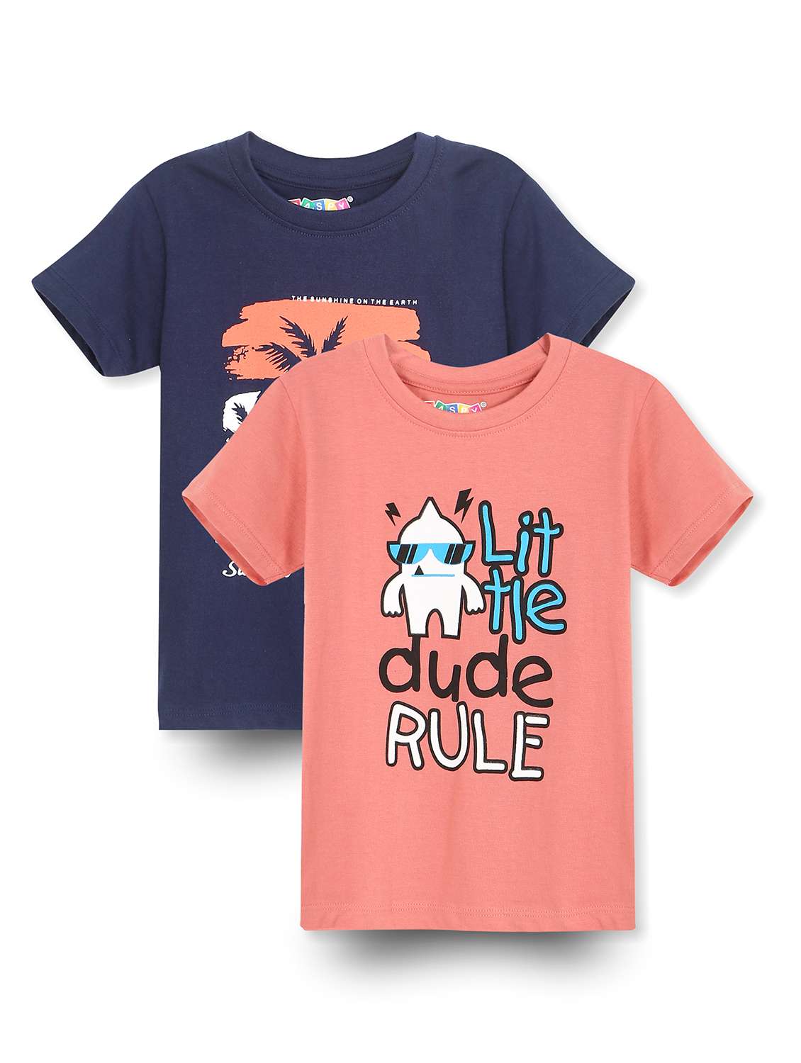 boys pack of 2 round neck t-shirt