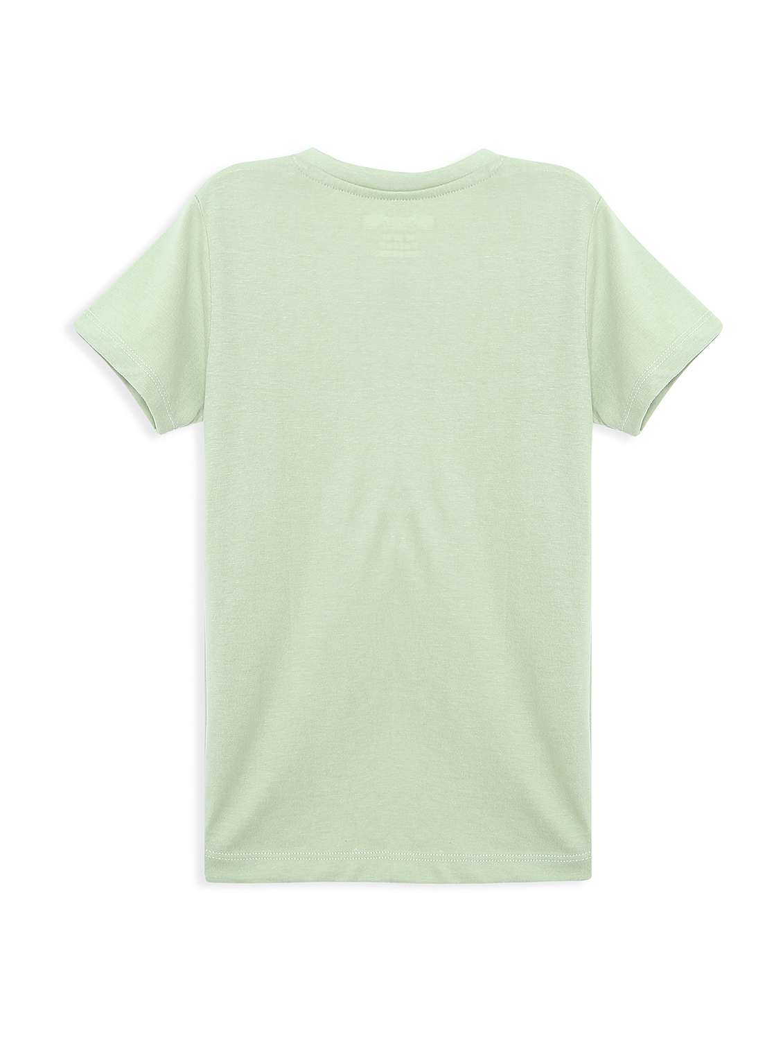 boys pack of 2 round neck t-shirt - 21899361 -  Standard Image - 3