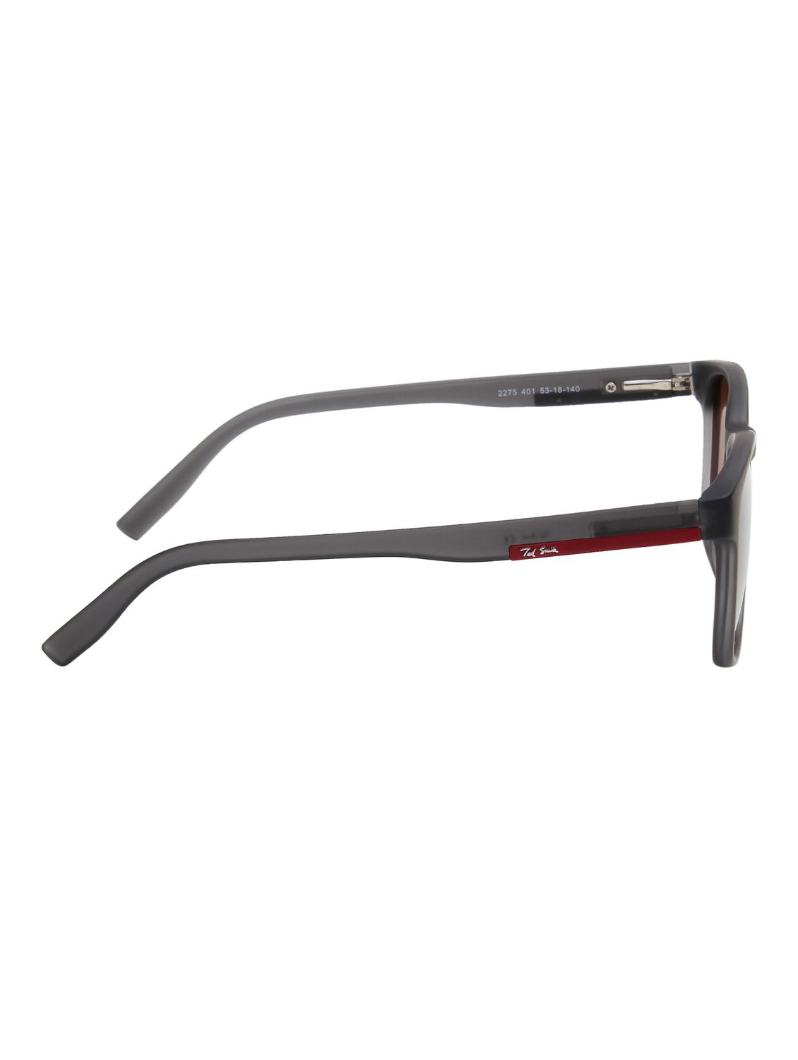 ted smith unisex wayfarer sunglasses with polarised lens sun-bryden_c401 - 21983079 - Standard Image - 3