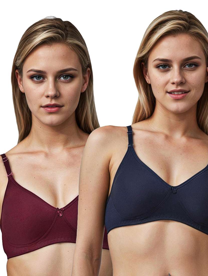 women pack of 2 solid lightly padded t-shirt bra