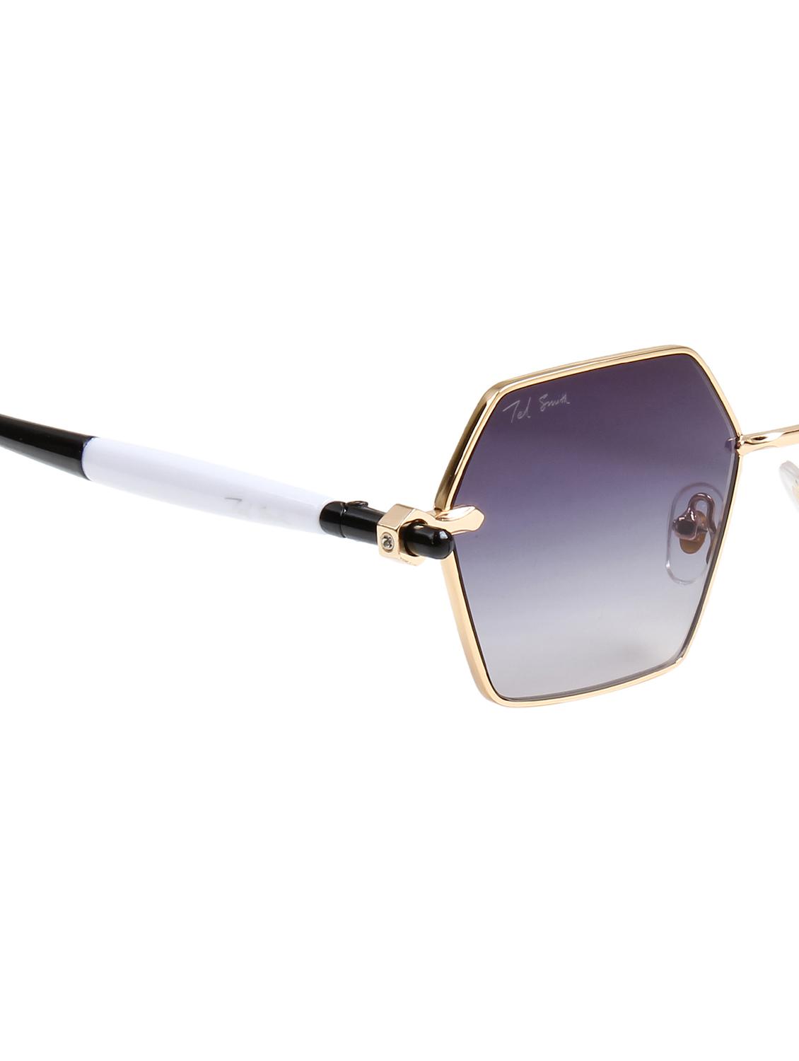 ted smith unisex aesthetic-bold gold-purple hexagon sunglasses with uv protected lens - 21998719 - Standard Image - 5
