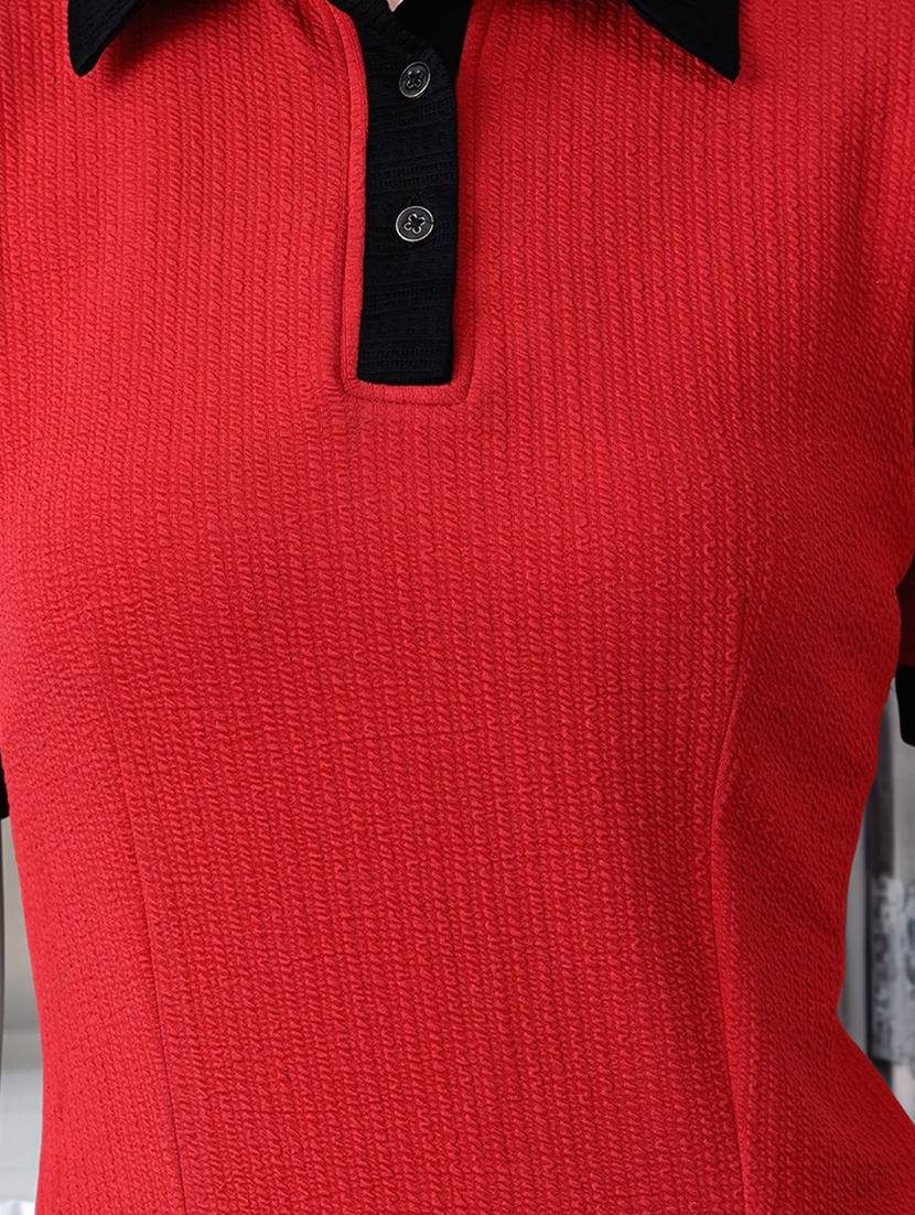 women solid shor sleeve collared a-line dress - 22017569 - Standard Image - 3
