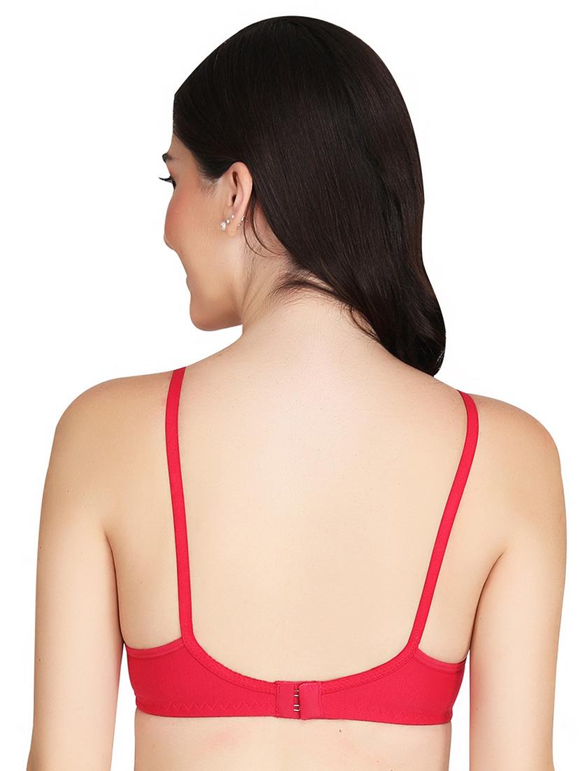 fuchsia cotton combos bra - 22024937 - Standard Image - 3