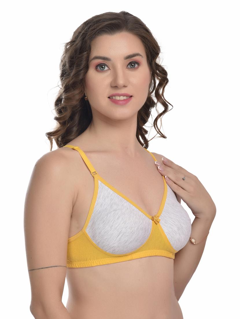 women pack of 3 nono padded t-shirt bra - 22063577 - Standard Image - 5