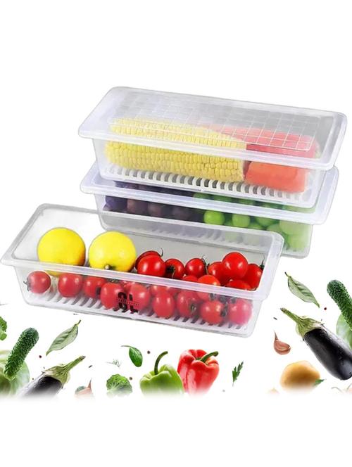 plastic storage container with lid for fridge - 22065818 -  Standard Image - 0