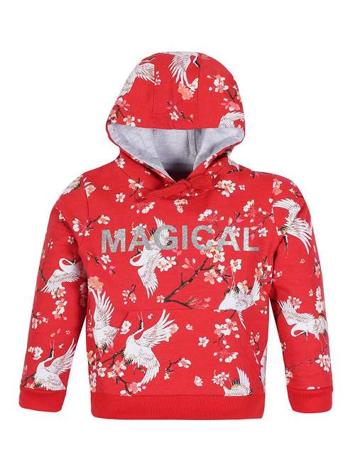 boys printed long sleeve hooded sweatshirt - 22070377 -  Standard Image - 0