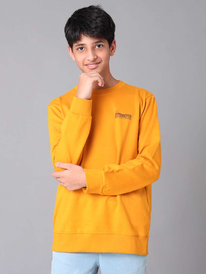 boys solid round neck long sleeve sweatshirt - 22070889 - Zoom Image - 0