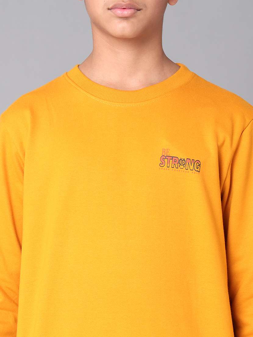 boys solid round neck long sleeve sweatshirt - 22070889 - Standard Image - 5