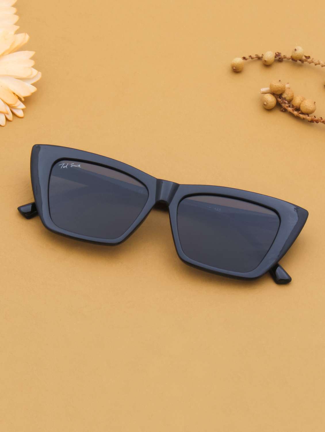 ted smith eyewear | full rim cat-eye stylish sunglasses | uv protected | for women - 22079442 - Zoom Image - 0