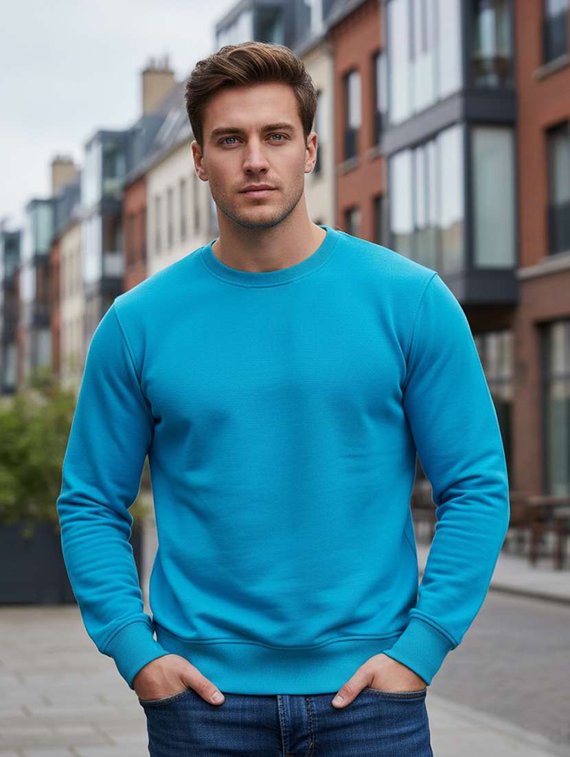 men solid long sleeve regular fit sweatshirt