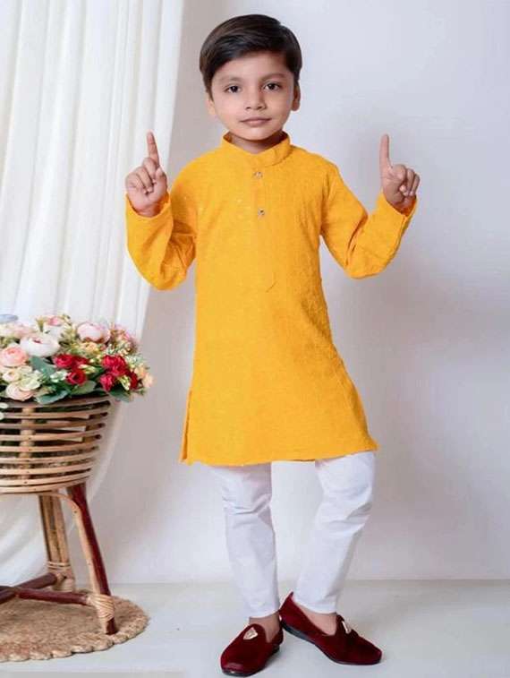 boys embroidered long sleeve kurta and pyjama set