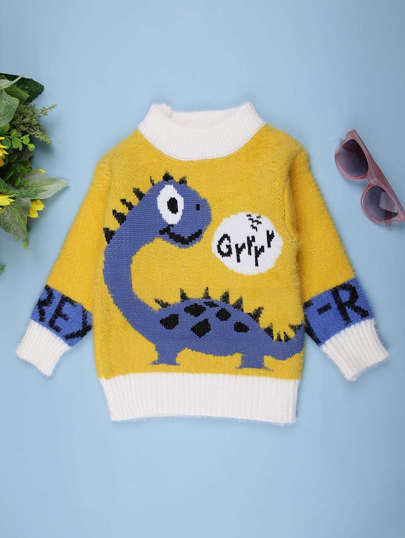 boys self designed long sleeve sweater