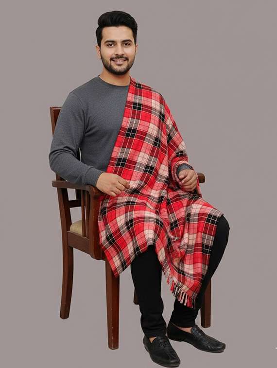 men checkered pashmina shawl - 22224472 -  Zoom Image - 0