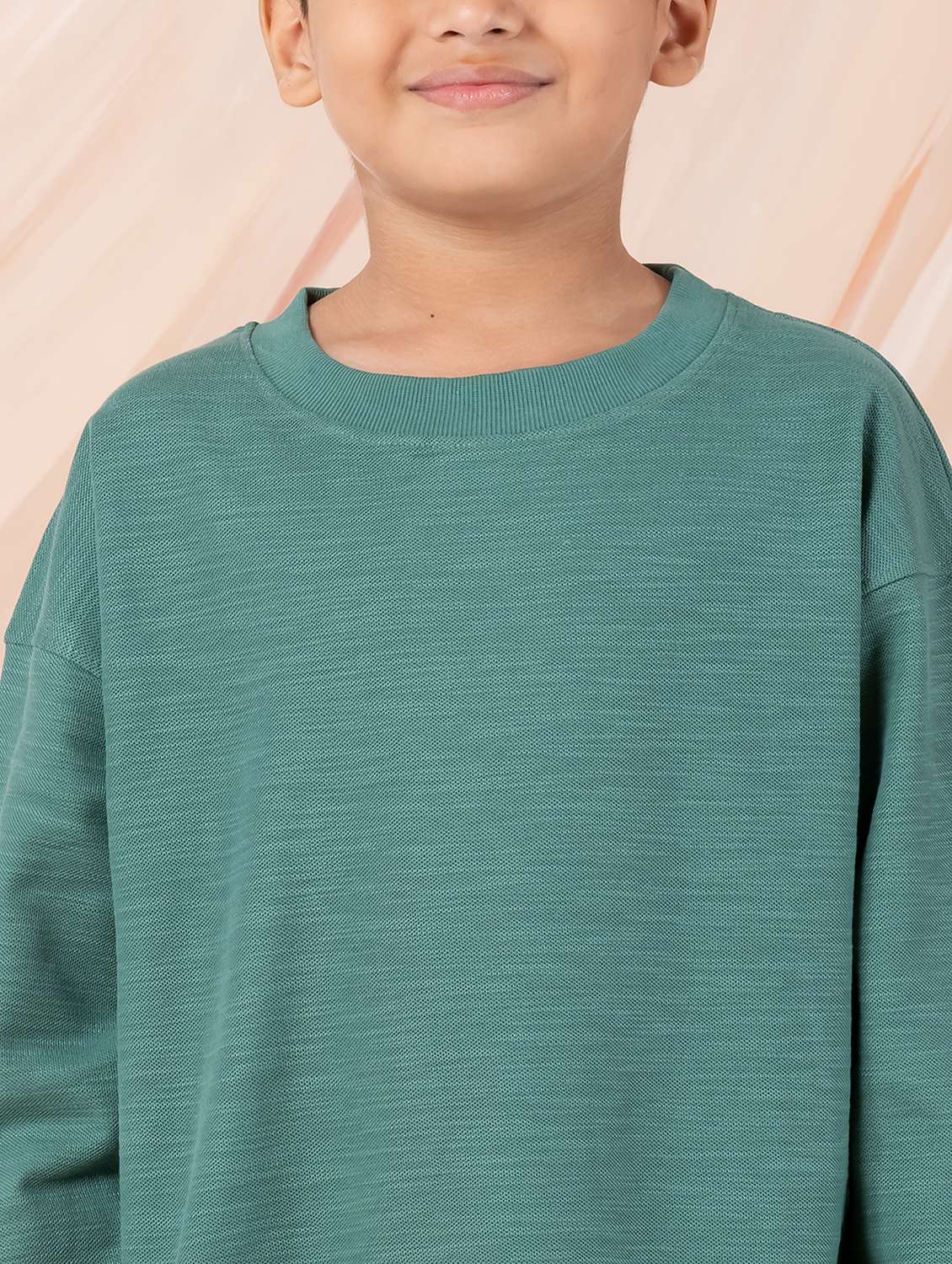 boy solid long sleeve sweatshirt - 22229814 -  Standard Image - 8
