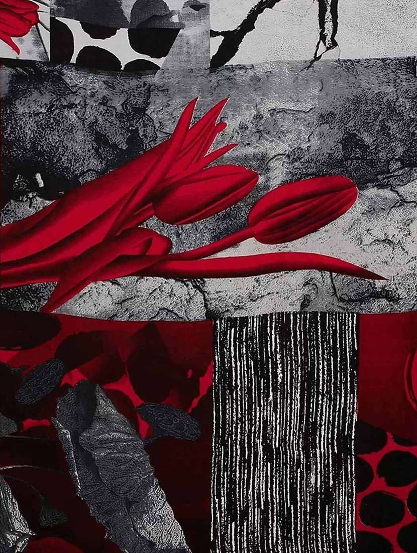 women printed casual wear saree with blouse - 22243507 -  Standard Image - 5