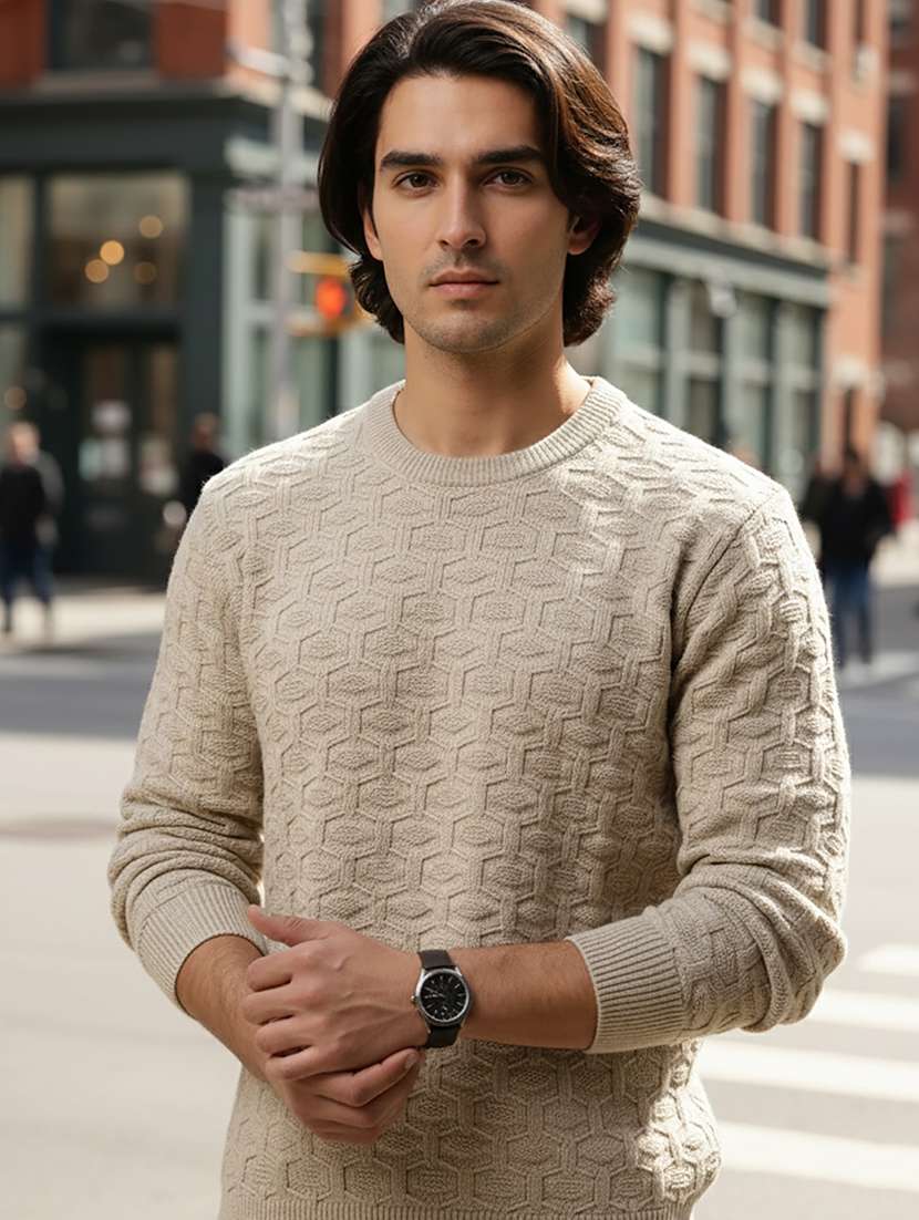 men self design long sleeve regular fit pullover 