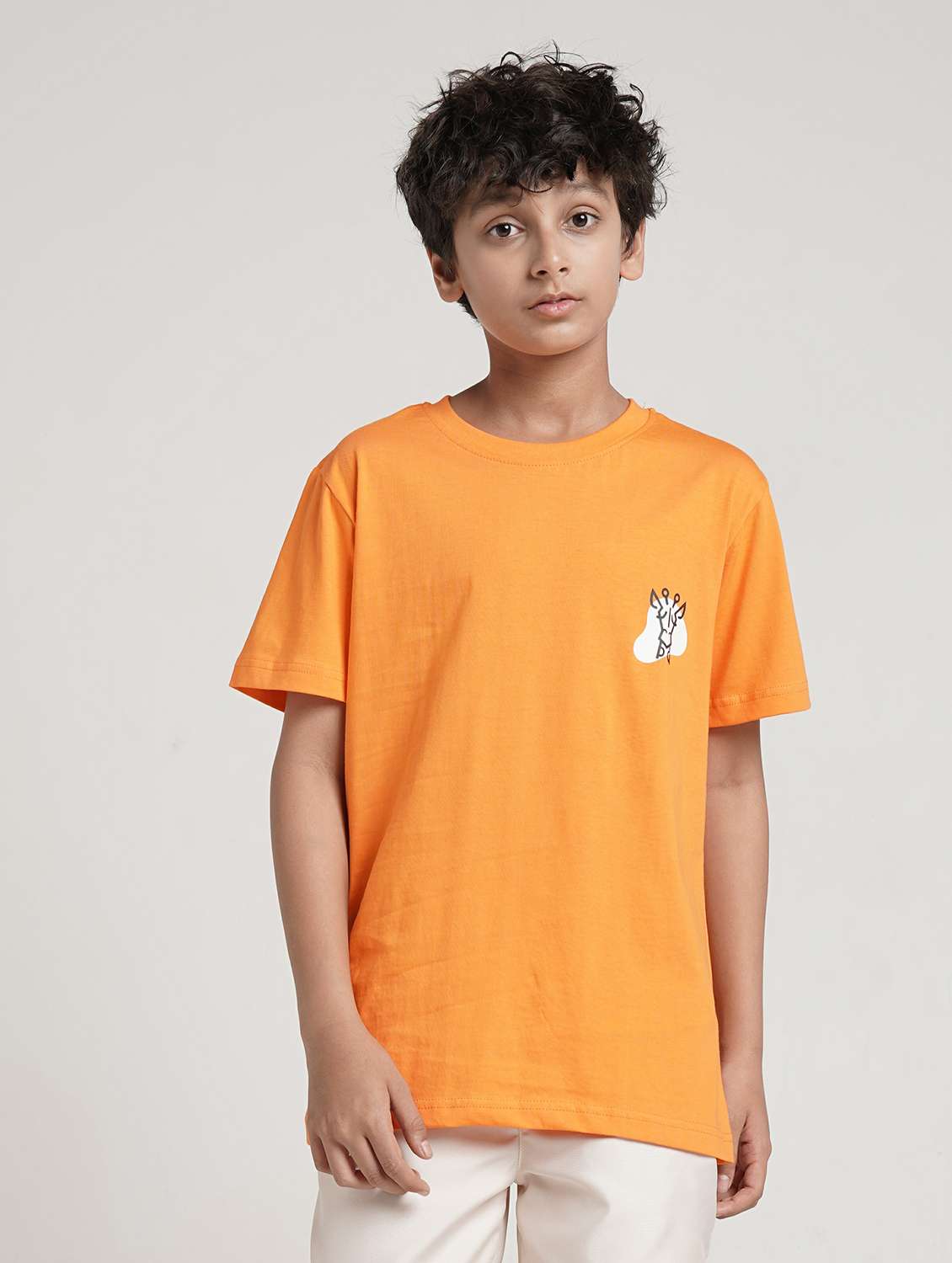 boys printed short sleeve t-shirt
