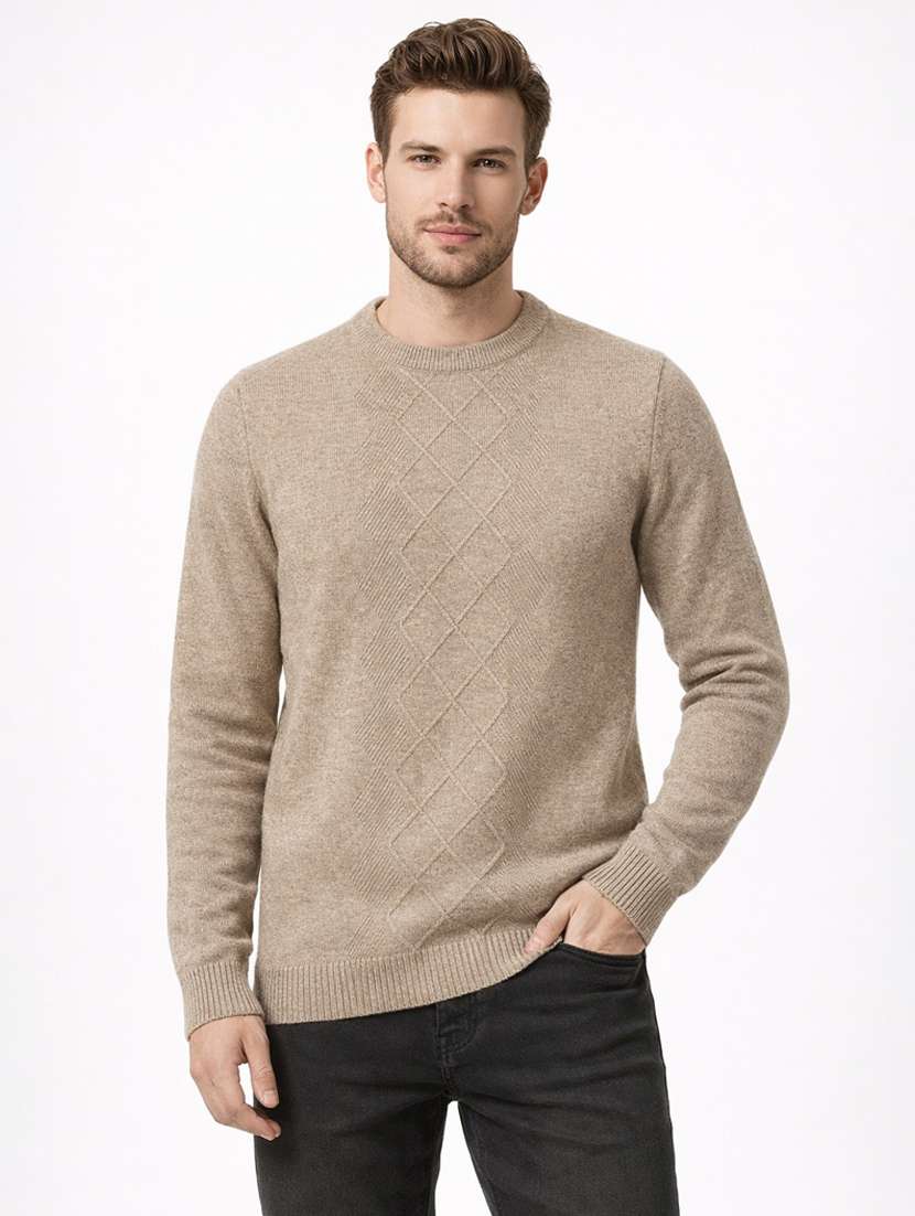 men self design long sleeve regular fit pullover