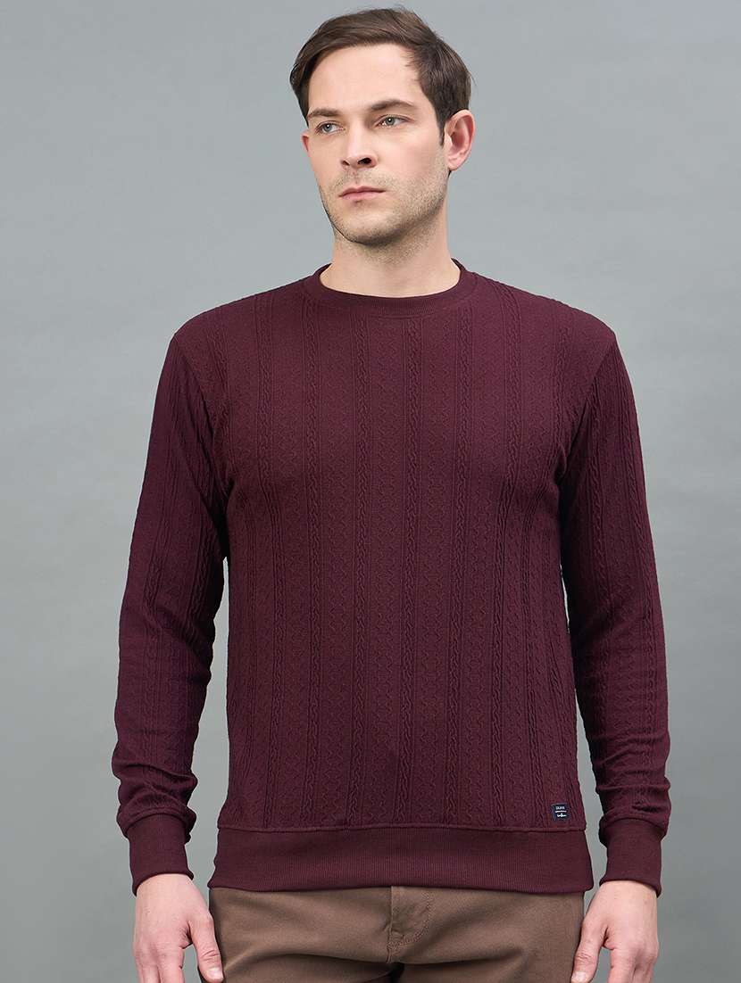 men self design long sleeve regular fit pullover 