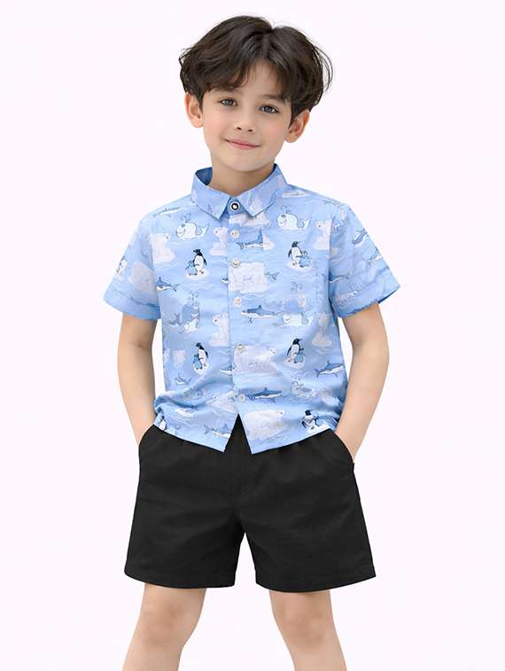 boys printed shirt and shorts set