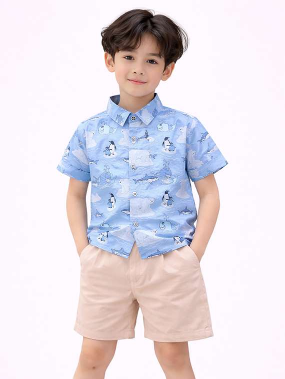 boys printed shirt and shorts set