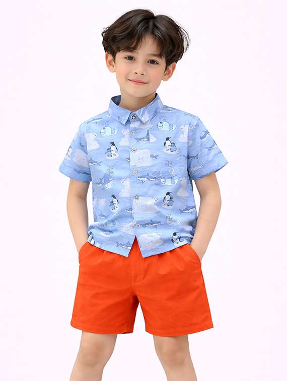 boys printed shirt and shorts set