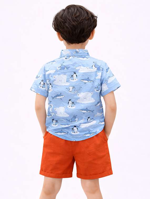 Boys Printed Shirt And Shorts Set - 22345960 -  Standard Image - 3
